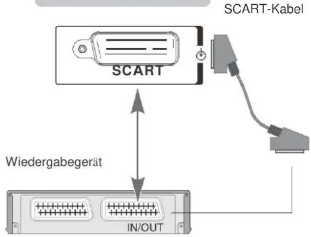 Reflexion LDD-1960 - Ein SCART-Gerät anschließen - 1