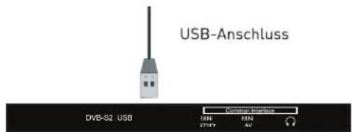 Enox LL-0122ST2 - USB-Anschluss - 1