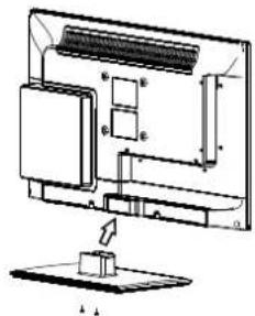 Enox LL-0222ST2 - Das Anbringen des Standfusses - 1