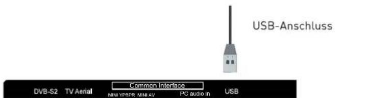 Enox LL-0222ST2 - USB-Anschluss - 1