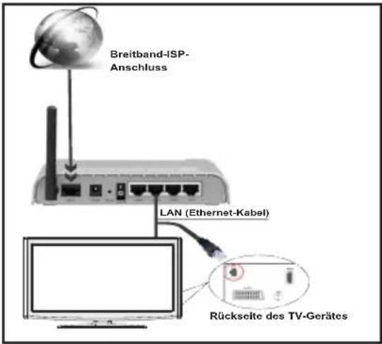 DUAL DLE39F182P3C - Anschluss an ein kabelgebundenes Netzwerk - 1