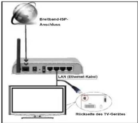 DUAL DL48F272P3C - Anschluss an ein kabelgebundenes Netzwerk - 1