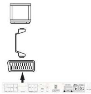Tevion DVD 2008-H - Scart an TV - 1