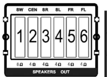 SW CEN SR SL FR FL 1 2 3 4 5 6 8Ω 4Ω 4Ω 4Ω 4Ω 4Ω SPEAKERS OUT