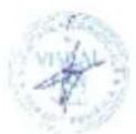 Allview Viva Q7 Satellite - DECLARATION En CONFORMITY - 1