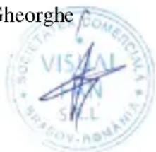 heorghe VISUAL COMERCIAL SOCIETARY WASCOV-ADAMATIA