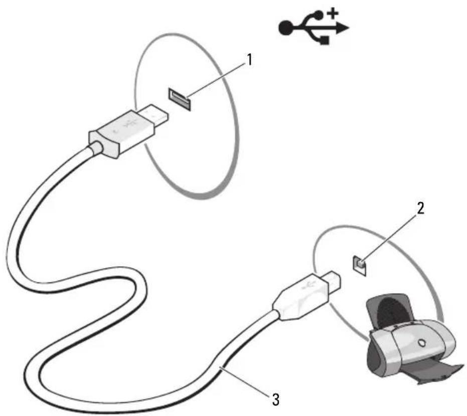 DELL Vostro 1500 PP22L - Connecting a USB Printer - 2