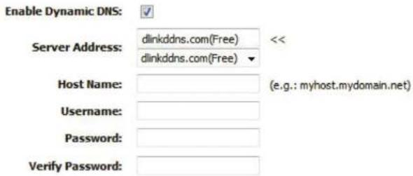 Enable Dynamic DNS: Server Address: dlinkddns.com(Free) << dlinkddns.com(Free) Host Name: (e.g.: myhost.mydomain.net) Username: Password: Verify Password: