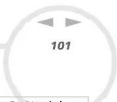 101
