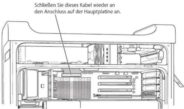 Schließen Sie dieses Kabel wieder an den Anschluss auf der Hauptplatine an.