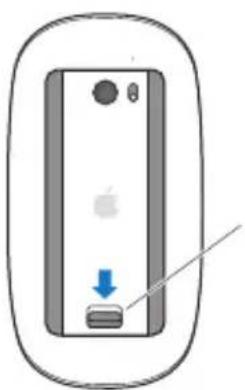 APPLE Mac Pro (2012) - Die Batterien in der Apple Magic Mouse austauschen - 1