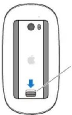 APPLE Mac Pro (2010) - Die Batterien in der Apple Magic Mouse austauschen - 1