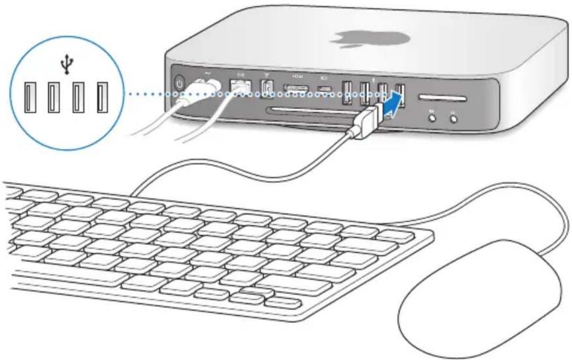 APPLE Mac Mini (2010) - Installieren Ihres Mac mini - 3