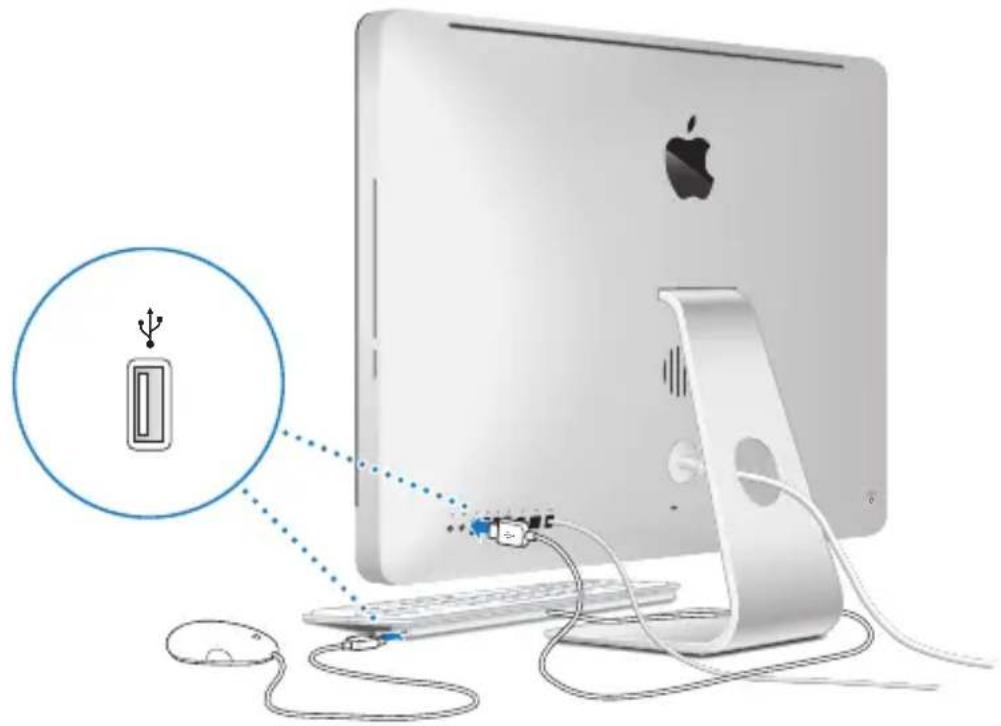 APPLE iMac (2011) - Schritt 3: Schließen Sie die Tastatur und die Maus an. - 1