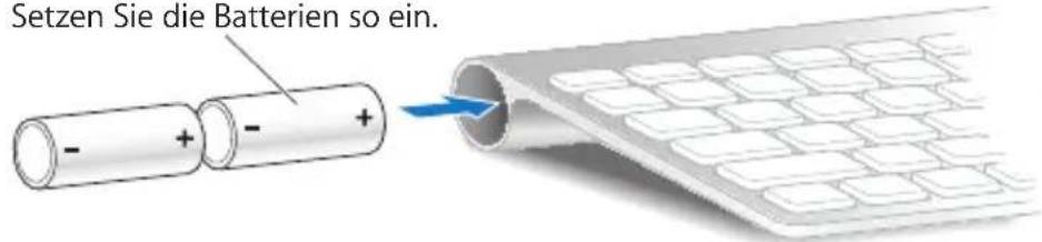 Setzen Sie die Batterien so ein.