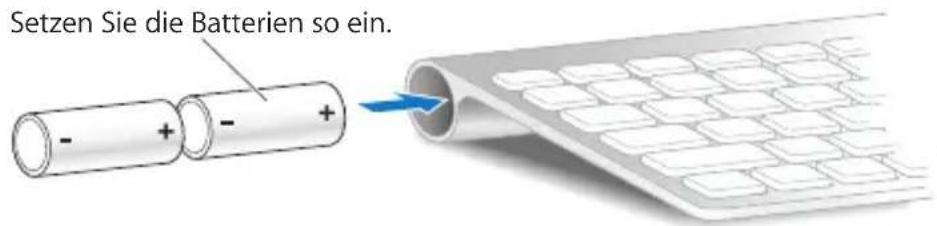 Setzen Sie die Batterien so ein.