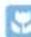 PKM WT-605C - Gebrauchtgeräte - 2