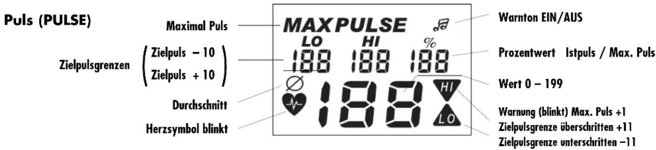 KETTLER Marathon XL - M9786 - 1