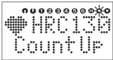 KETTLER Marathon XL - Punkte (Dots) - 1