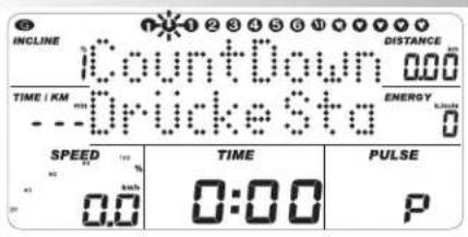 INCLINE CountDown 0.00 TIME / KM --Drucke Sta SPEED 100% 0.0 TIME 0:00 PULSE P