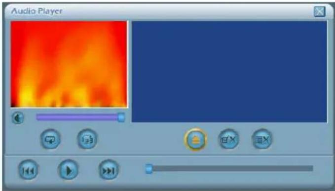 RoadNavigator RN 66 - Music player explained - 1