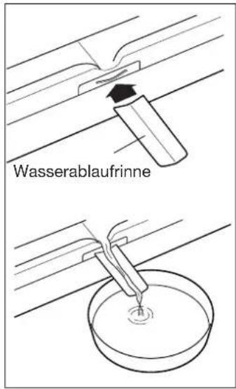 Hanseatic VF 929/E - Türdichtungen kontrollieren und reinigen - 1