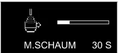 M.SCHAUM 30 S