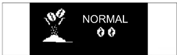 NORMAL