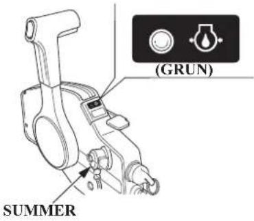 (GRUN) SUMMER