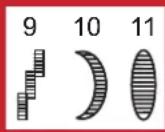 W6 N 9000 QPL - Einstellungen Zierstiche 9, 10 und 11 - 1
