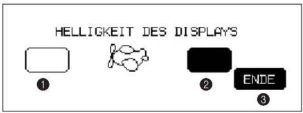 HELLIGKEIT DES DISPLAYS ① ② ENDE ③