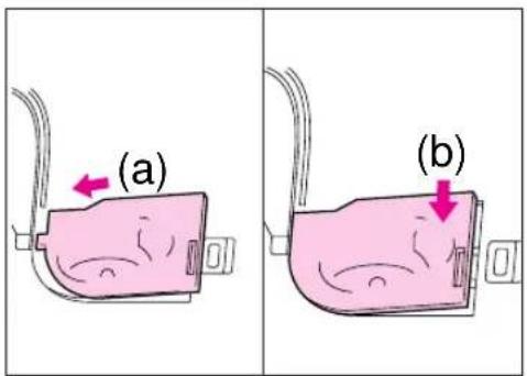 (a) (b)