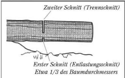 Shindaiwa 490/EC1 - HINWEIS: - 1