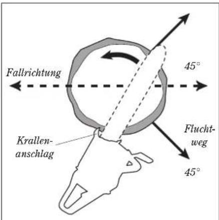 Shindaiwa 490/EC1 - Fällen von kleinen Bäumen - 1