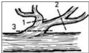 1 2 3