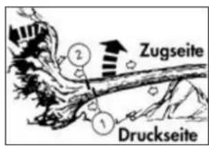 Zugseite Druckseite