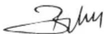 DOLMAR PS-500 D - EU-Konformitätserklärung - 2