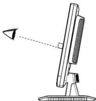 IIYAMA ProLite B1902S - ANMERKUNG - 1