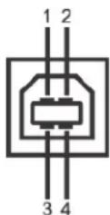 DELL P2210 - Universal Serial Bus (USB) Schnittstelle - 2