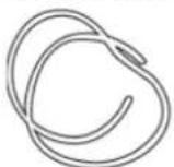 TecLime TTHD-7 - Accessories - 1