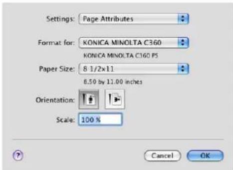 KONICA MINOLTA Bizhub C360 - [Seiteneinstellungen] - 1