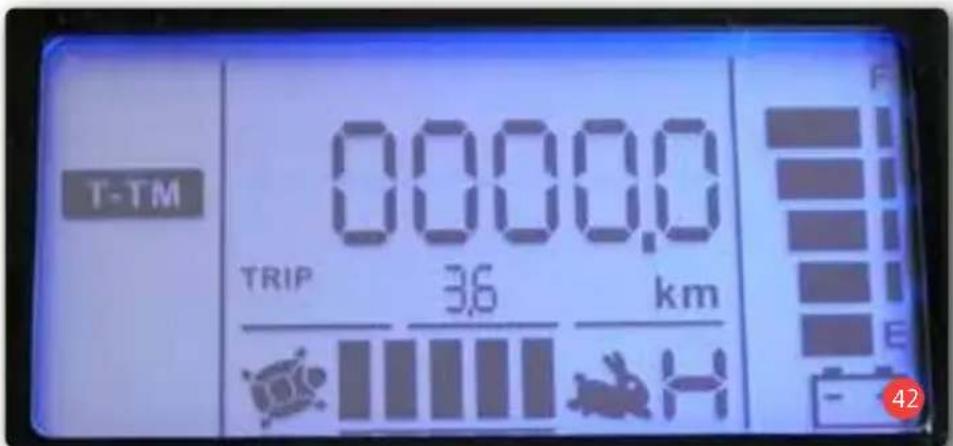 Bischoff & Bischoff Orthos - Fahrtkilometer (T-TM) - 1