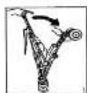 Baninni Piega - INSIDECTIONS FOR LINE QX-102 - 1