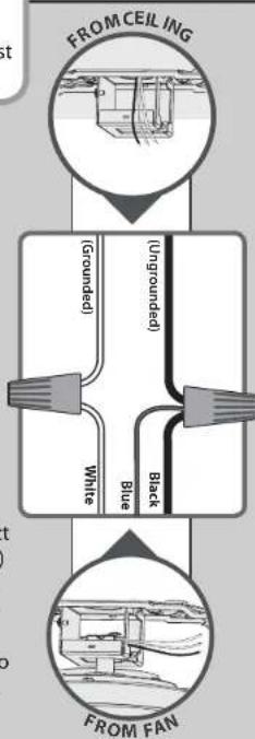 HUNTER Louden Low Profile - For a Single Switch - 1