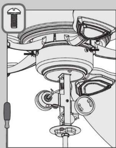 HUNTER Granville - Switch Housing - 9