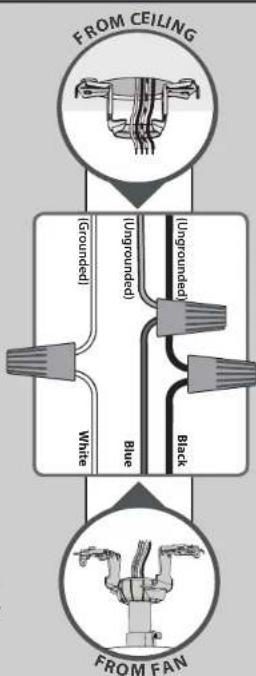 HUNTER Denali - For a Single Switch - 2
