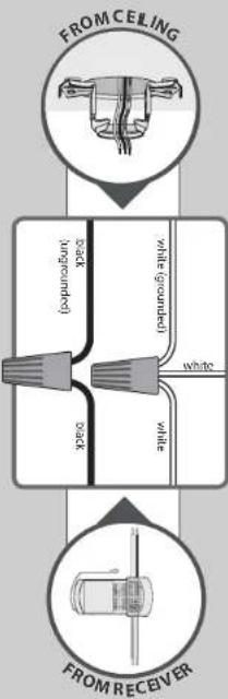 HUNTER Arvada - Wiring - 4