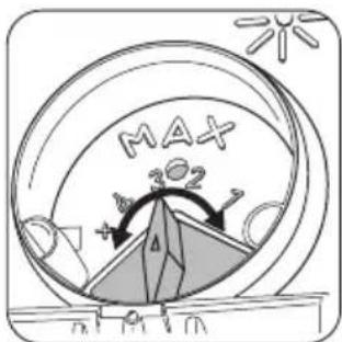 MAX 202