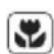 PROGRESS PV1540 - Bruk salt, skyllemiddel og såpe - 1