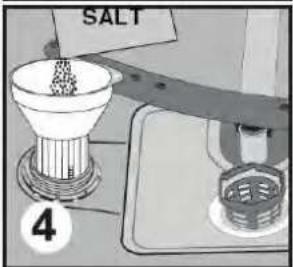 SALT 4